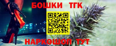 индика Беслан