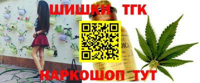 индика Беслан
