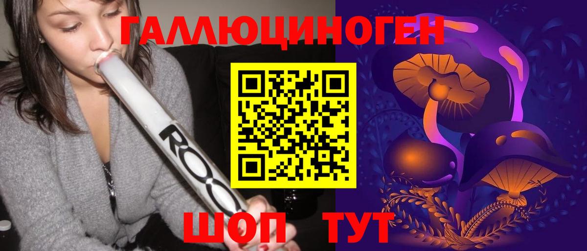 Галлюциногенные грибы GOLDEN TEACHER  Вход с VPN  Карачаевск 